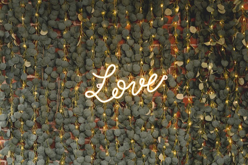 Garland_eucalyptus_led_verlichting